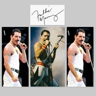 Adesivo para Envelopamento de Geladeira Completa Freddie Mercury