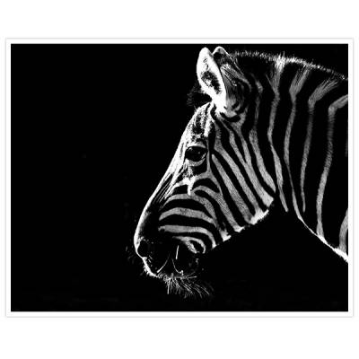 Painel Adesivo Para Parede Zebra