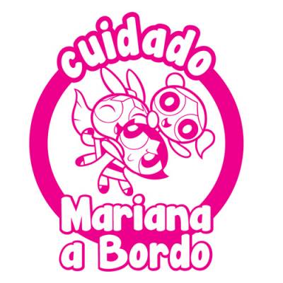 Adesivo Bebê a Bordo Personalizado Super Poderosas