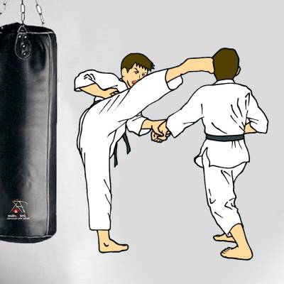 Adesivo De Parede Karateca Chute Alto 02