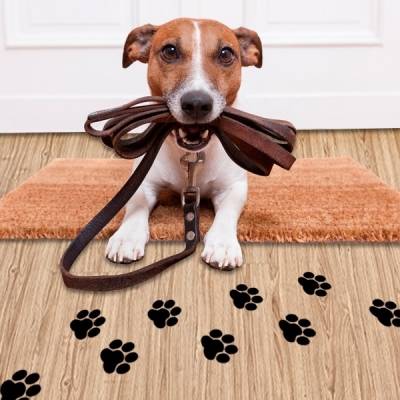 Adesivo de Pegadas de Cachorro e Outros Animais