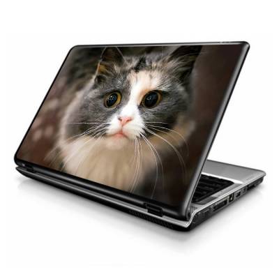 Adesivo Skin para Notebook Gato Triste