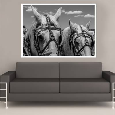 Painel Adesivo Para Parede Cavalos
