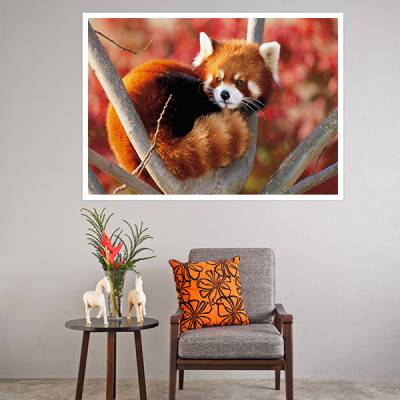 Painel Adesivo Para Parede Panda