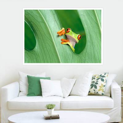 Painel Adesivo Para Parede sapinho