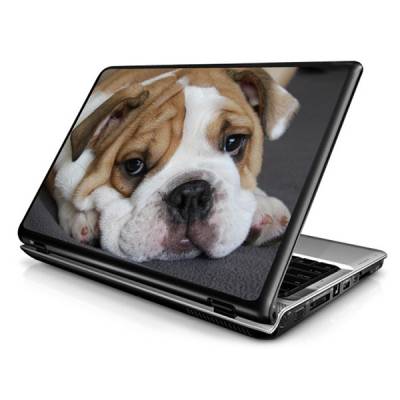 Adesivo Skin para Notebook / Netbook Natureza Cachorro