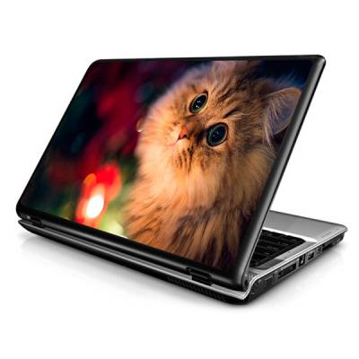 Adesivo Skin para Notebook / Netbook Natureza Gato / Gatinho