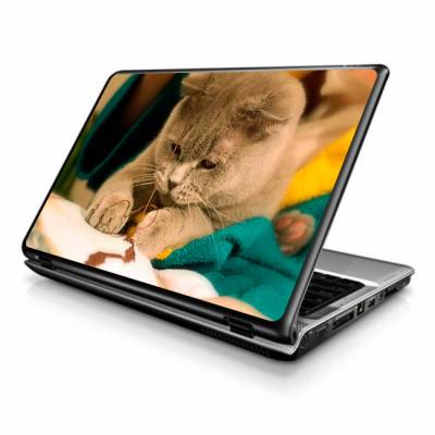 Adesivo Skin para Notebook / Netbook gato 5